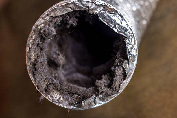 Best Best Air Duct Cleaning Company  in White Oak, MS