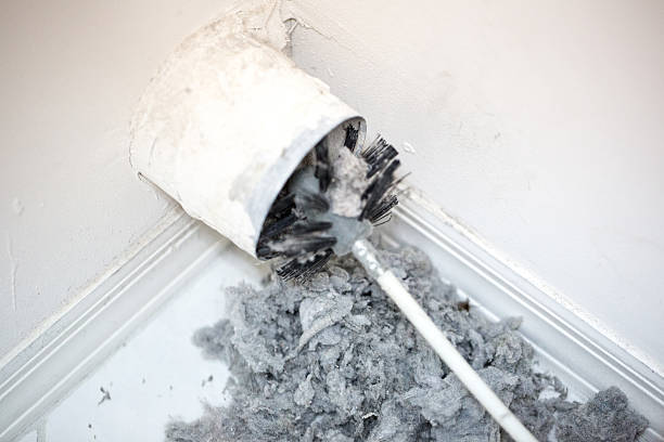 Air Duct Mold Removal in White Oak, MS